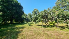 Land for sale in Luang Nuea, Chiang Mai