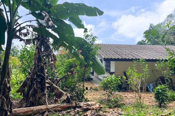 Land for sale in Bang Muang, Phang Nga