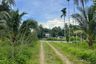 Land for sale in Bang Muang, Phang Nga