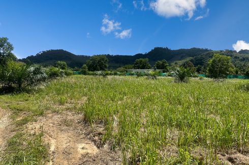 Land for sale in Khuekkhak, Phang Nga