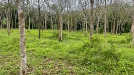 Land for sale in Thung Maphrao, Phang Nga