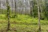 Land for sale in Thung Maphrao, Phang Nga