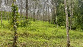 Land for sale in Thung Maphrao, Phang Nga