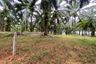 Land for sale in Nong Thale, Krabi