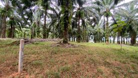 Land for sale in Nong Thale, Krabi