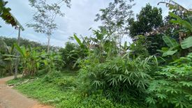 Land for sale in Nong Thale, Krabi