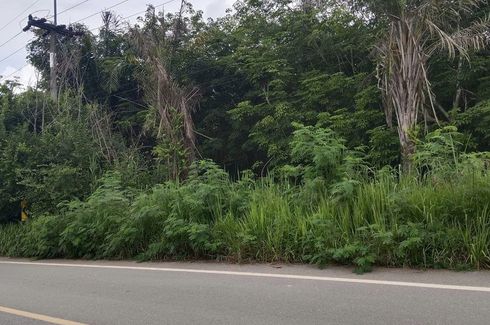 Land for sale in Nong Yai, Chonburi