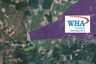 Land for sale in Nong Yai, Chonburi