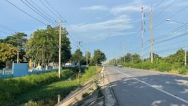 Land for sale in Nong Nom Wua, Nakhon Sawan