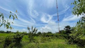 Land for sale in Nong Nom Wua, Nakhon Sawan