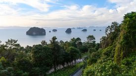 Land for sale in Khao Thong, Krabi