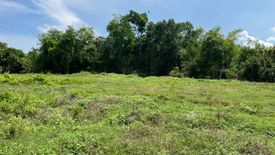 Land for sale in Sai Mun, Nakhon Nayok