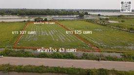 Land for sale in Don Yo, Nakhon Nayok