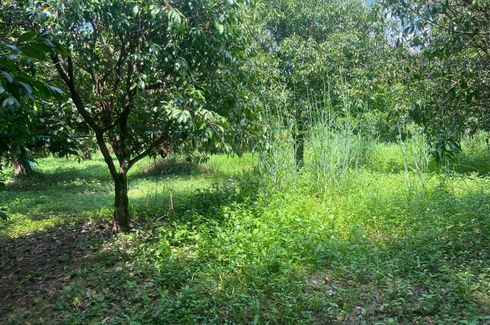 Land for sale in Don Yo, Nakhon Nayok