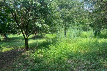 Land for sale in Don Yo, Nakhon Nayok