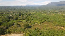 Land for sale in Na Hin Lat, Nakhon Nayok