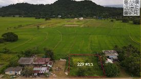 Land for sale in Si Nawa, Nakhon Nayok