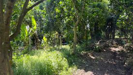 Land for sale in Mai Khet, Prachin Buri