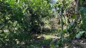 Land for sale in Mai Khet, Prachin Buri