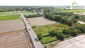 Land for sale in Sisa Krabue, Nakhon Nayok