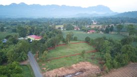 Land for sale in Wang Dong, Kanchanaburi