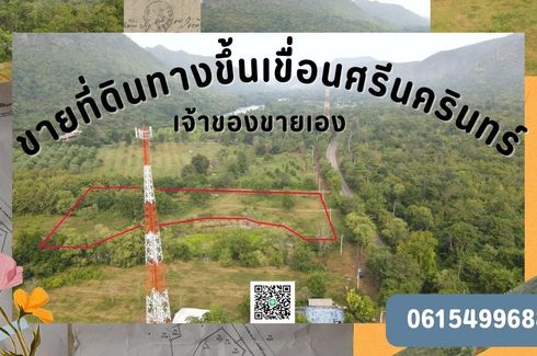 Land for sale in Na Suan, Kanchanaburi