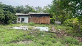 Land for sale in Li, Lamphun