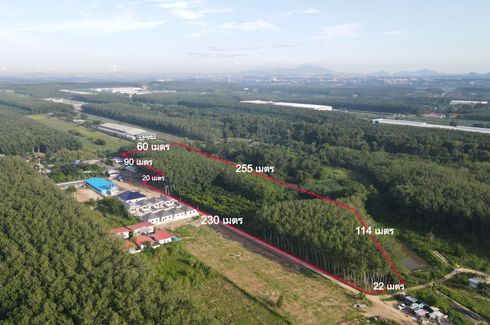 Land for sale in Pluak Daeng, Rayong