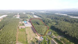 Land for sale in Pluak Daeng, Rayong