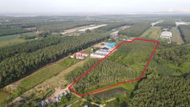 Land for sale in Pluak Daeng, Rayong