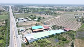 Land for sale in Thung Khok, Suphan Buri