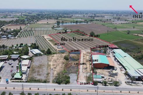 Land for sale in Thung Khok, Suphan Buri