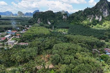 Land for sale in Ao Nang, Krabi