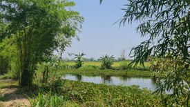 Land for Sale or Rent in Pa O Don Chai, Chiang Rai