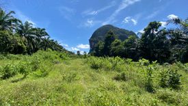 Land for sale in Nong Thale, Krabi