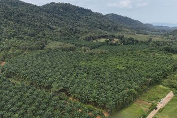 Land for sale in Nong Thale, Krabi