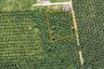 Land for sale in Nong Thale, Krabi