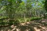 Land for sale in Nong Thale, Krabi