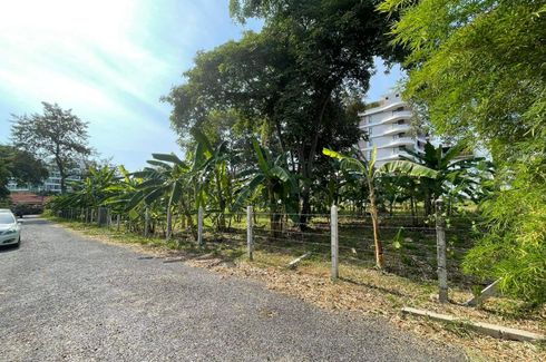 Land for sale in Nong Prue, Chonburi