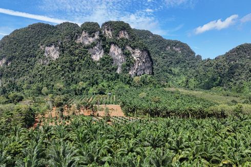 Land for sale in Khao Thong, Krabi