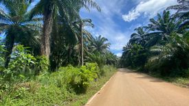 Land for sale in Khao Thong, Krabi