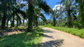 Land for sale in Nong Thale, Krabi