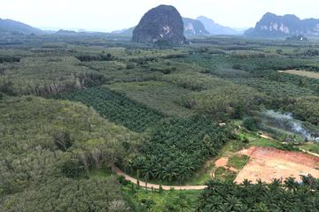 Land for sale in Nong Thale, Krabi