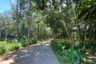 Land for sale in Nong Thale, Krabi