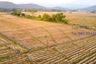 Land for sale in Mae Pong, Chiang Mai