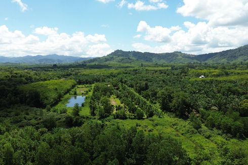 Land for sale in Na Toei, Phang Nga