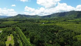 Land for sale in Na Toei, Phang Nga