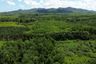 Land for sale in Na Toei, Phang Nga
