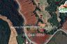 Land for sale in Pak Chong, Nakhon Ratchasima