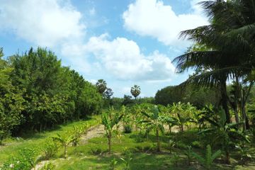 Land for sale in Pa Khlok, Phuket
